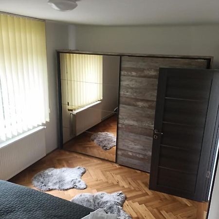 Vintage Gray Apartament Braşov Exteriör bild