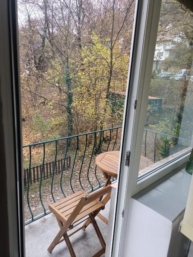 Vintage Gray Apartament Braşov Exteriör bild