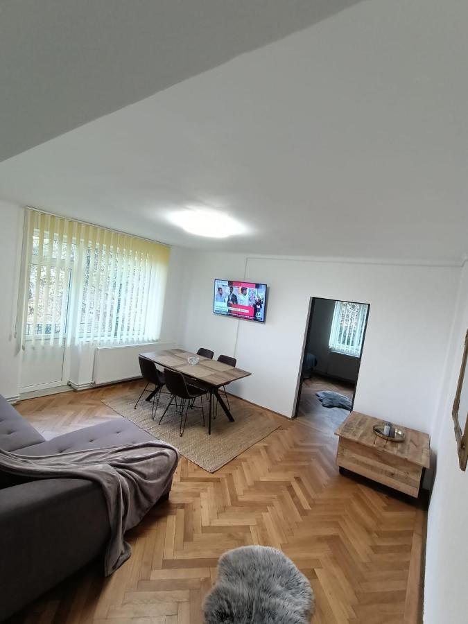 Vintage Gray Apartament Braşov Exteriör bild