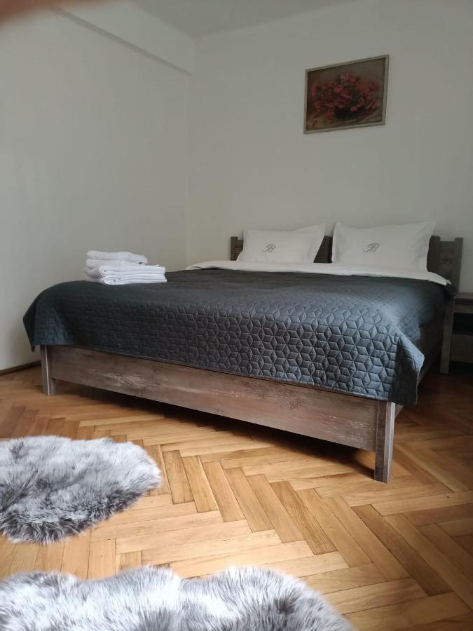 Vintage Gray Apartament Braşov Exteriör bild