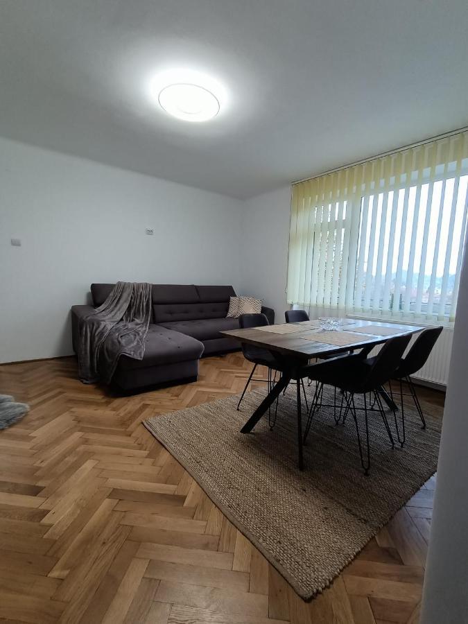 Vintage Gray Apartament Braşov Exteriör bild