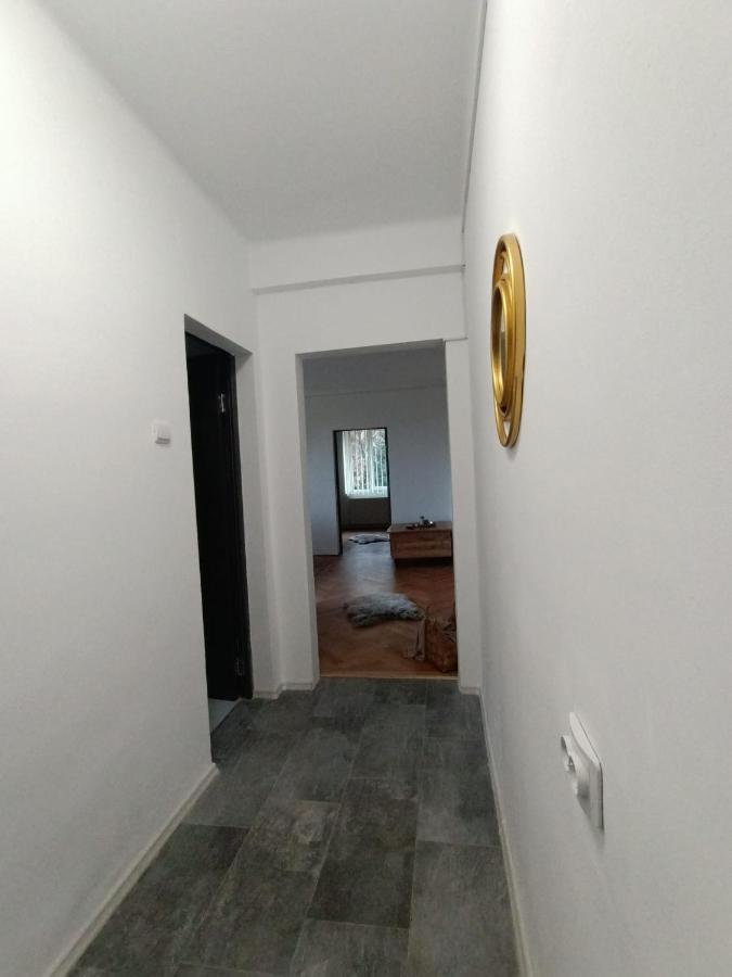Vintage Gray Apartament Braşov Exteriör bild