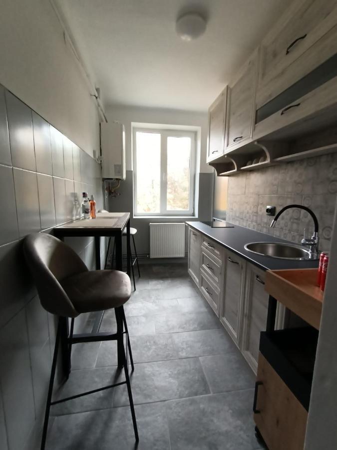Vintage Gray Apartament Braşov Exteriör bild