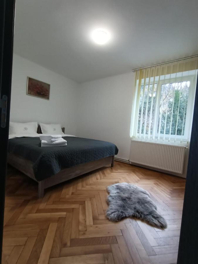 Vintage Gray Apartament Braşov Exteriör bild